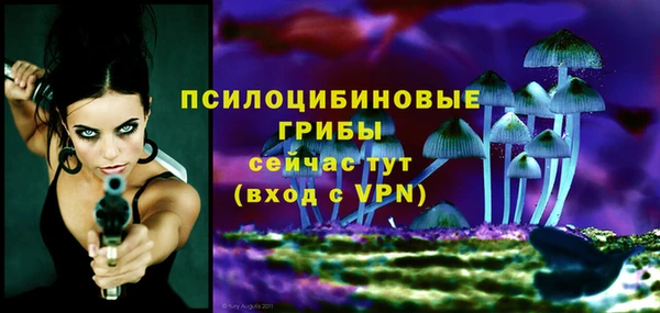 apvp Тавда